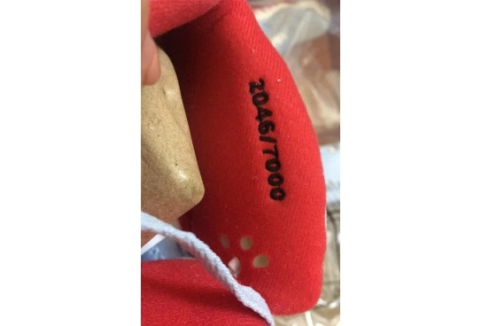 BLUE AIR CI1899-400 TROPHY X 5 ROOM JORDAN CI1899-400 JSP ICE 0406